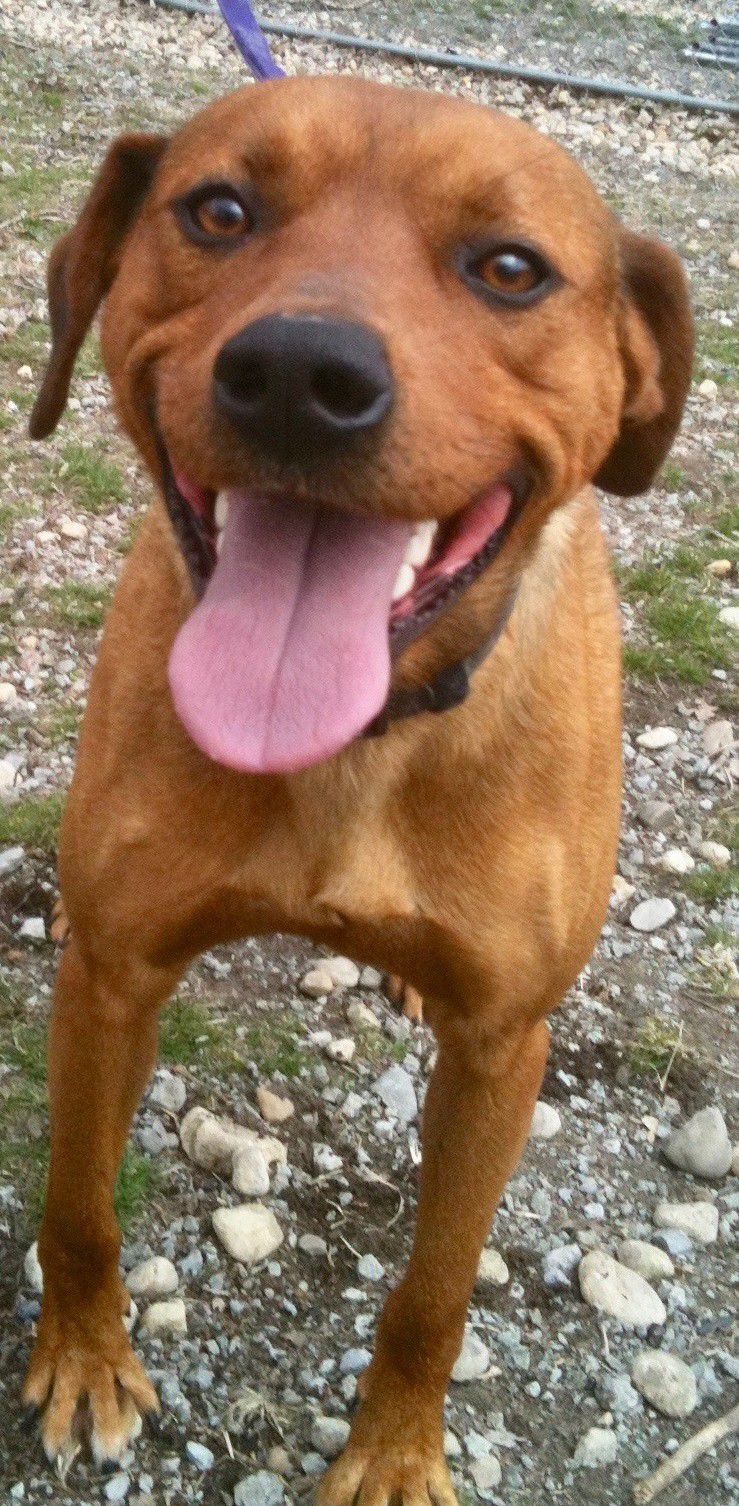 Kenny